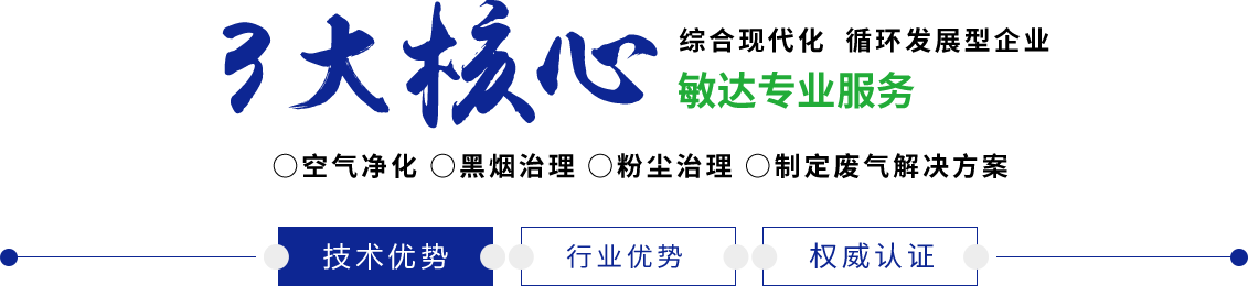 日本免费插逼敏达环保科技（嘉兴）有限公司